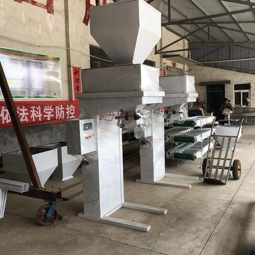 昌鑫机械 结构紧凑的冰糖颗粒包装机与型煤定量包装秤